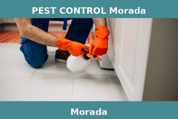 PEST CONTROL Morada